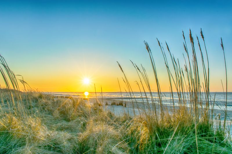 Nordsee Holidays: Alles, was ihr für einen gelungenen Dänemarkurlaub braucht!